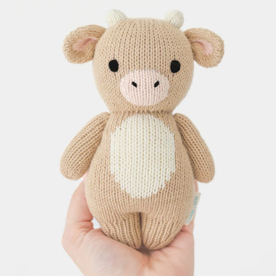 Baby Jersey Cow