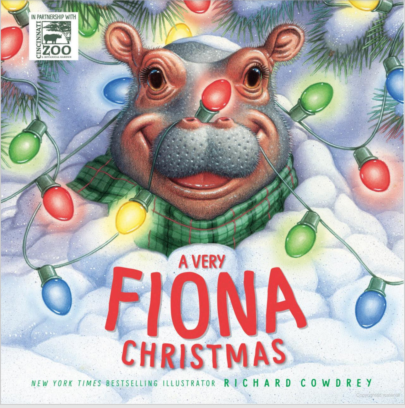 Very Fiona Christmas Book