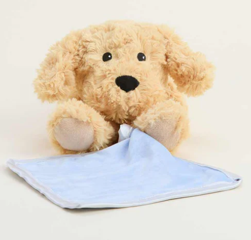 Golden Dog Blankie Warmie